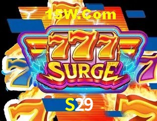 S29 - Security